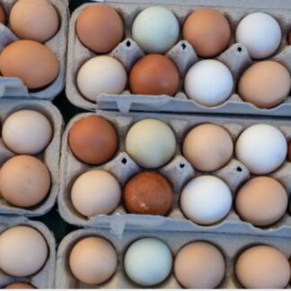 12 Chicken Pasture Raised, Cage Free Eggs, Non GMO Soy and Corn Free
