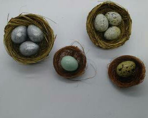 Single Quail Egg in Nest