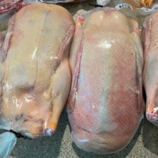 Freshly Frozen Duck 3-5 pounds