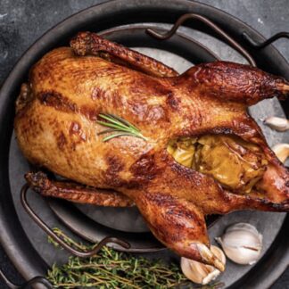 Freshly Frozen Goose